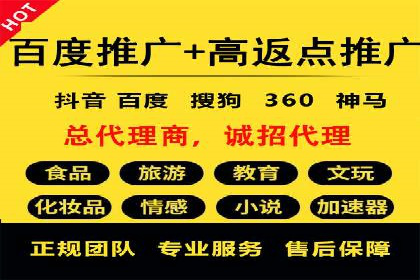行业领先企业的SEM代理案例剖析